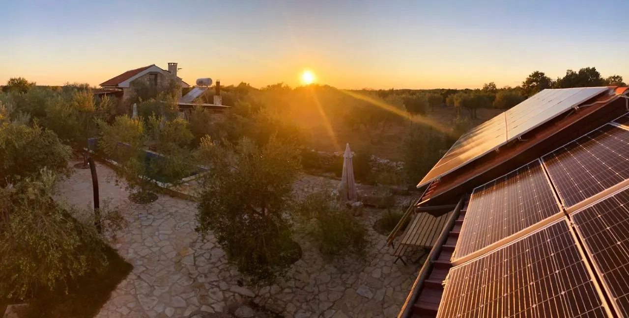 Magnificent Eco Villa Valencano Bale Croatia