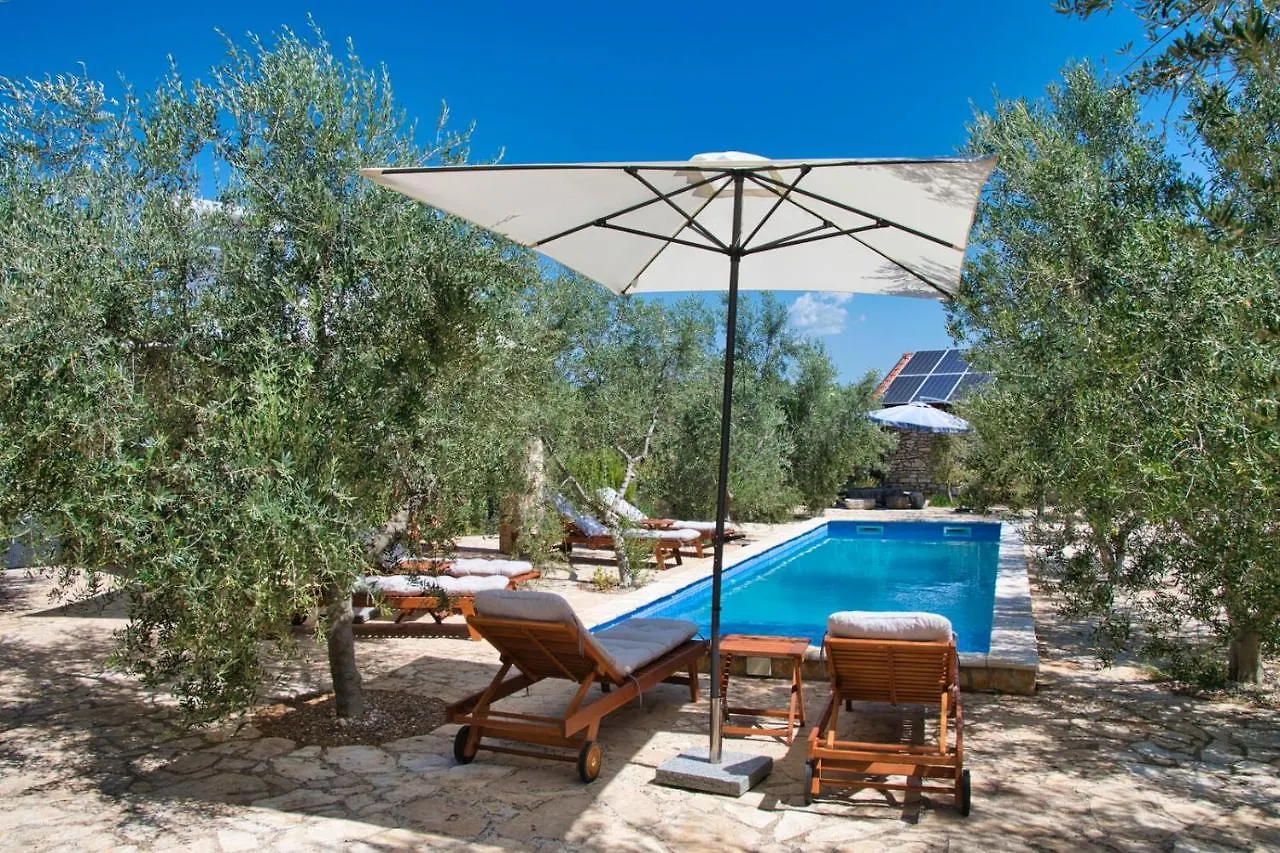 Magnificent Eco Villa Valencano Bale