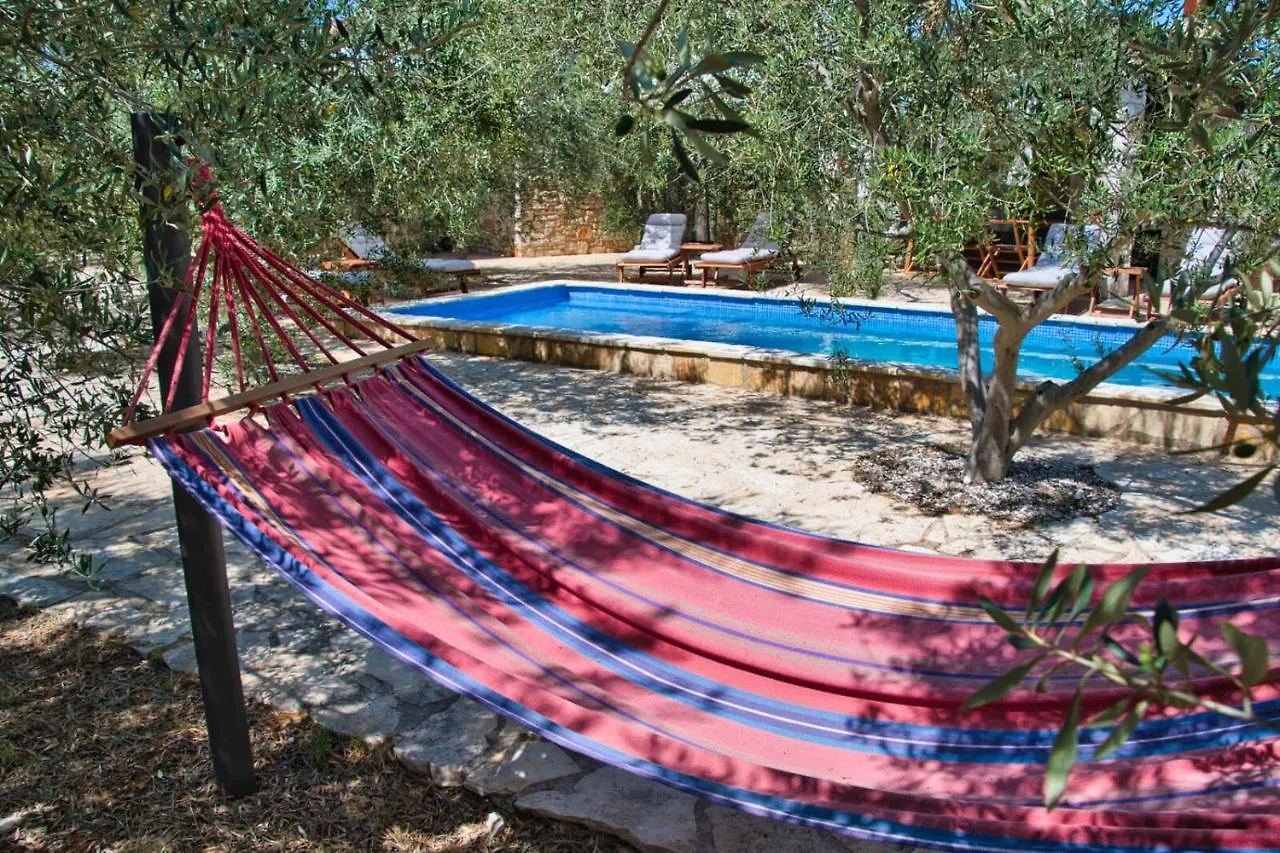 Magnificent Eco Villa Valencano Bale