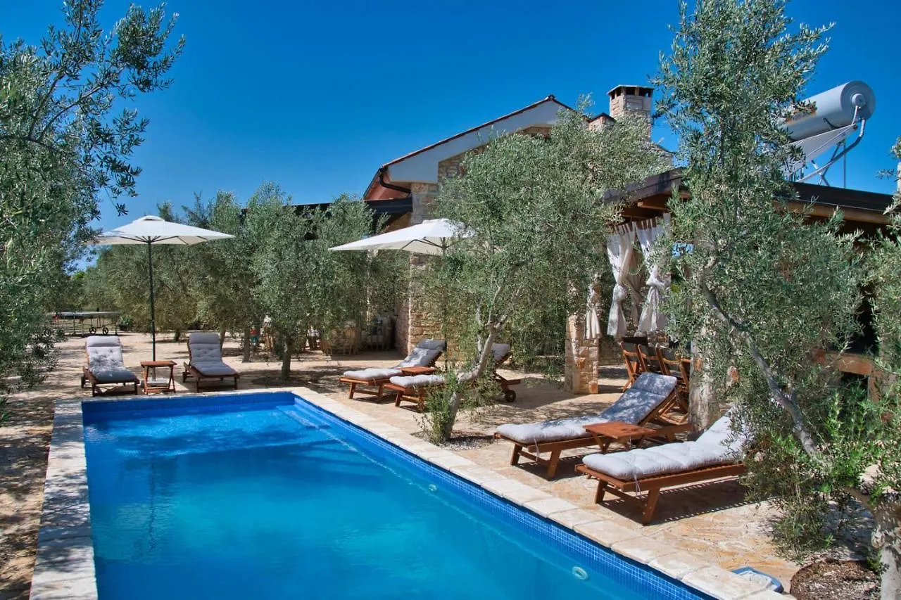 Magnificent Eco Villa Valencano Bale
