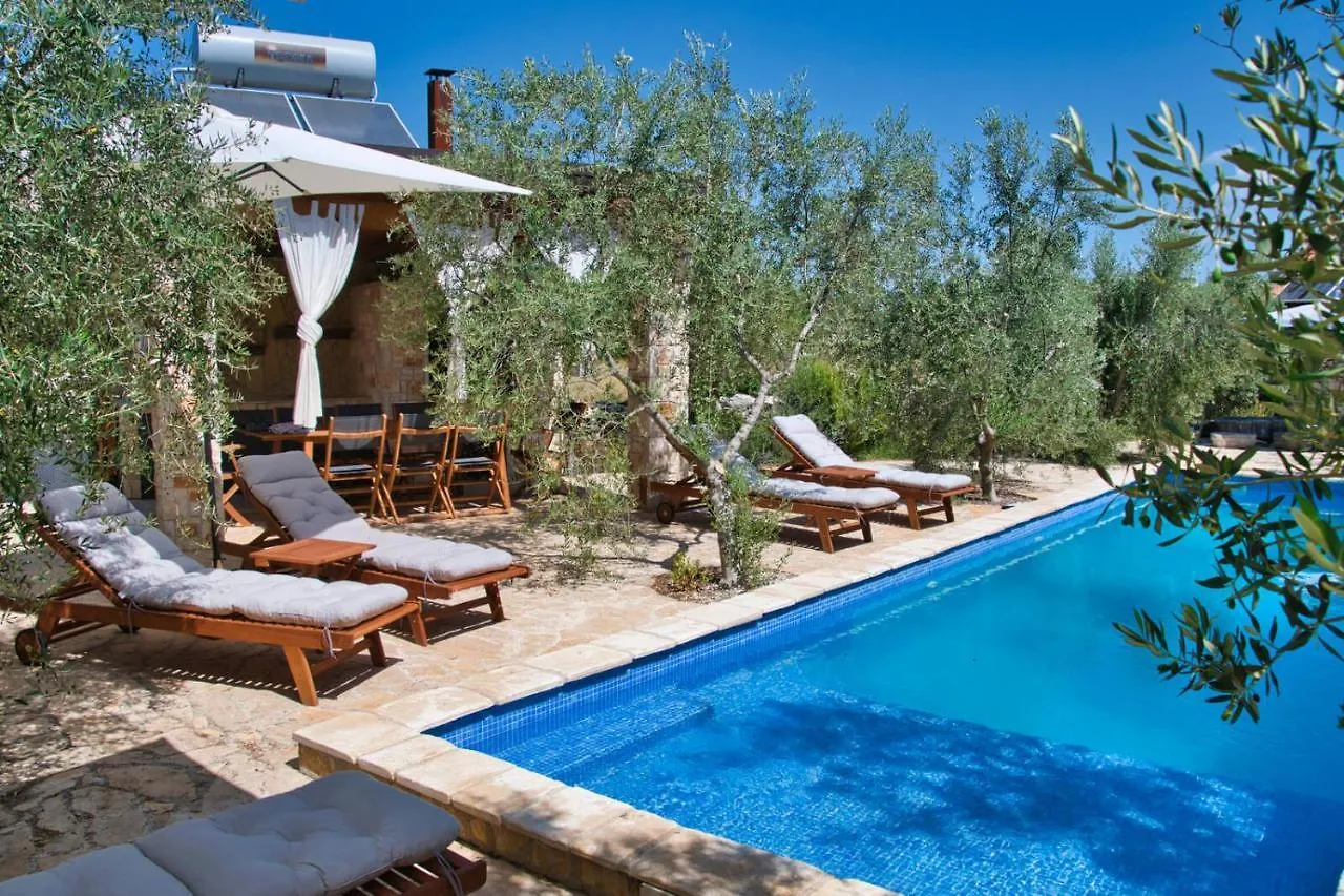 Magnificent Eco Villa Valencano Bale