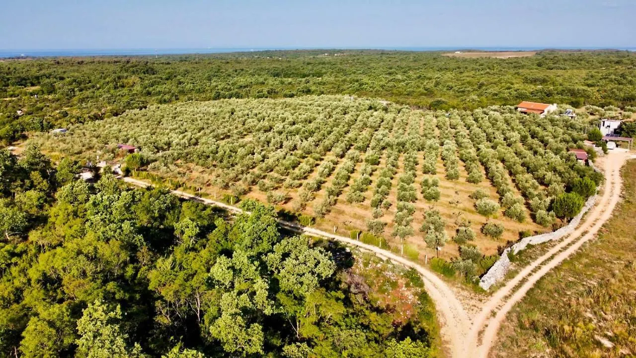 Magnificent Eco Villa Valencano Bale
